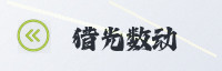 合作伙伴